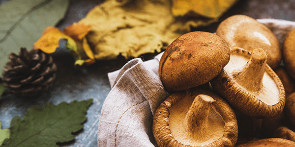 Lee más sobre el artículo 3 alimentos indispensables para la temporada de otoño